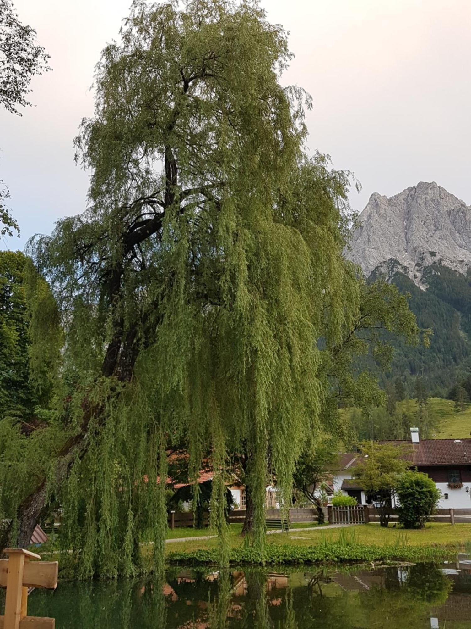 Zum Franziskaner Grainau Exterior foto