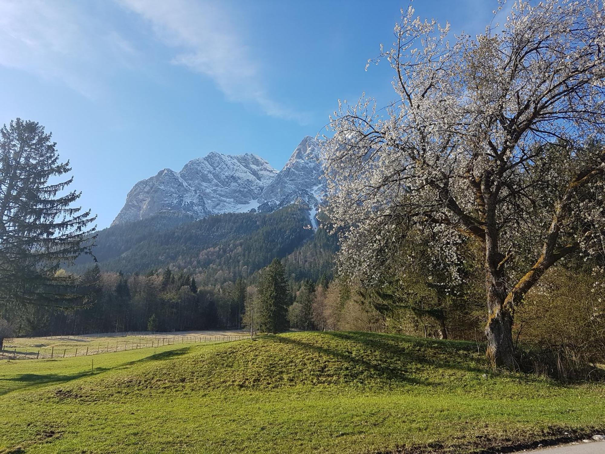 Zum Franziskaner Grainau Exterior foto